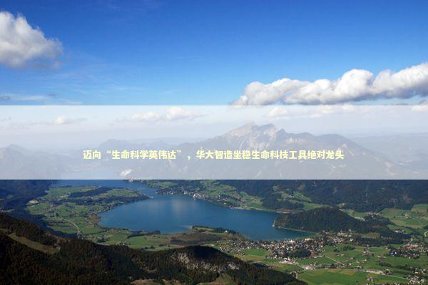 迈向“生命科学英伟达”,华大智造坐稳生命科技工具绝对龙头 迈向“生命科学英伟达”,华大智造坐稳生命科技工具绝对龙头 新闻