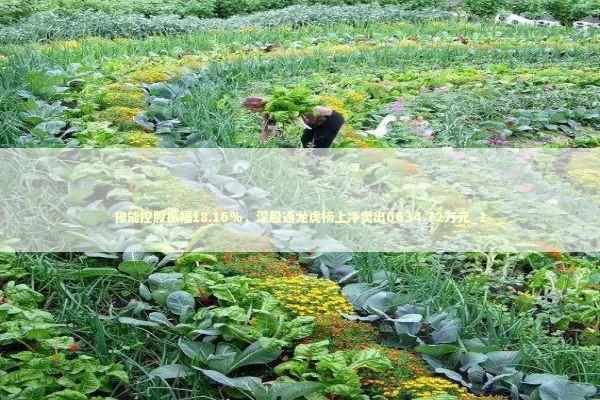 豫能控股振幅18.16%,深股通龙虎榜上净卖出6634.72万元_1 豫能控股振幅18.16%,深股通龙虎榜上净卖出6634.72万元_1 新闻