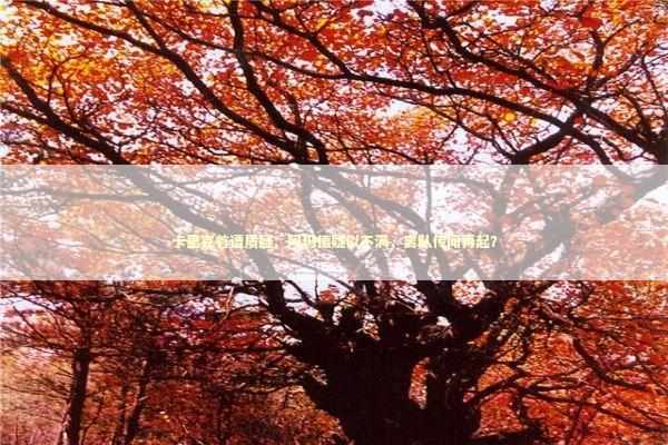 卡里克首遭质疑:阿玛德疑似不满,离队传闻再起? 卡里克首遭质疑:阿玛德疑似不满,离队传闻再起? 新闻