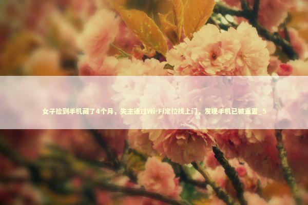 女子捡到手机藏了4个月，失主通过Wi-Fi定位找上门，发现手机已被重置_5 新闻