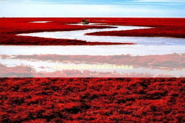 不止头孢吃完这些药也不能喝酒引发市场关注 不止头孢吃完这些药也不能喝酒引发市场关注 新闻