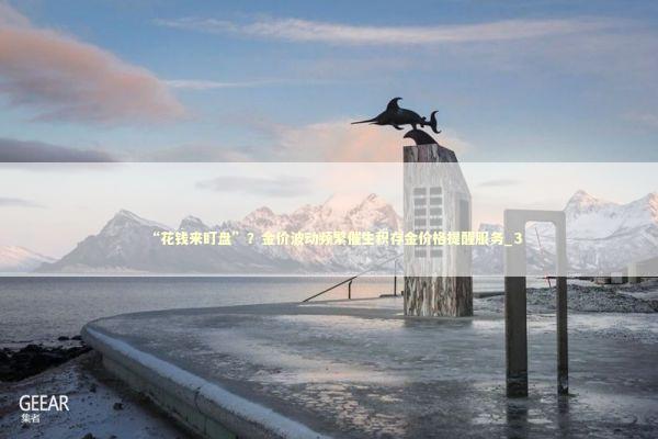 “花钱来盯盘”？金价波动频繁催生积存金价格提醒服务_3 新闻