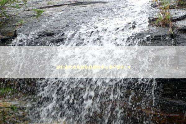 湖北省大米及其制品质检中心落户监利_4 湖北省大米及其制品质检中心落户监利_4 新闻