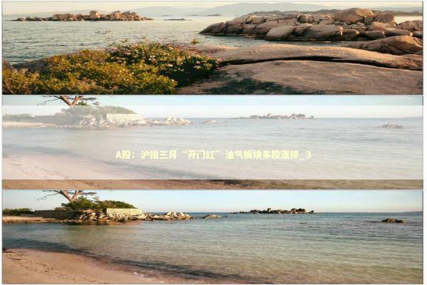 A股：沪指三月“开门红”油气板块多股涨停_3