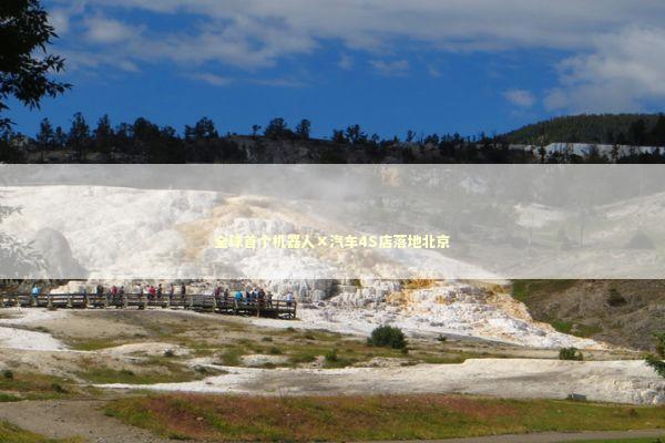 全球首个机器人×汽车4S店落地北京 全球首个机器人×汽车4S店落地北京 新闻