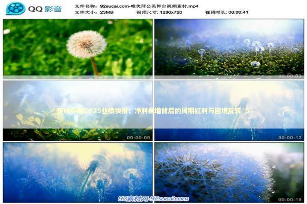 佰维存储2025业绩快报:净利暴增背后的周期红利与困境反转_5 佰维存储2025业绩快报:净利暴增背后的周期红利与困境反转_5 新闻