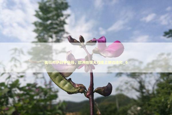 美以对伊战争升级,欧洲在很大程度上被边缘化_6 美以对伊战争升级,欧洲在很大程度上被边缘化_6 新闻