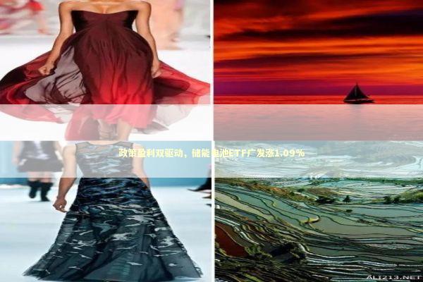 政策盈利双驱动，储能电池ETF广发涨1.09%