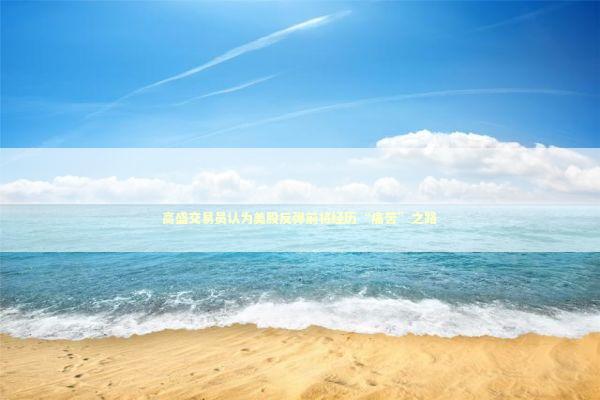 高盛交易员认为美股反弹前将经历“痛苦”之路 高盛交易员认为美股反弹前将经历“痛苦”之路 新闻