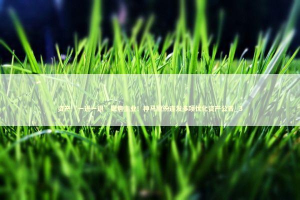 资产“一进一退”聚焦主业！神马股份连发多项优化资产公告_3 新闻