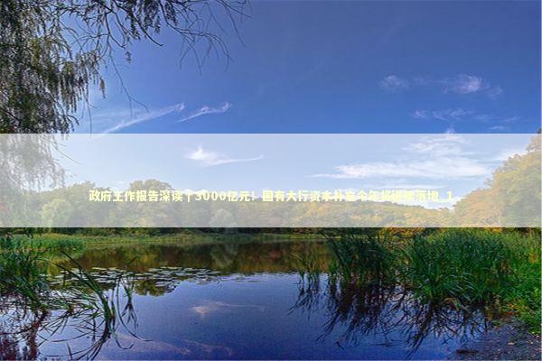 政府工作报告深读｜3000亿元！国有大行资本补充今年将继续落地_1 新闻