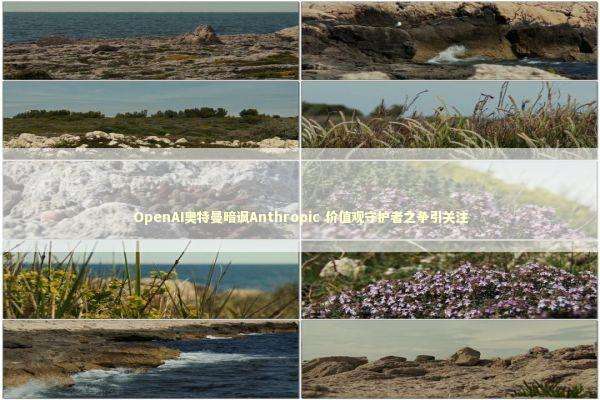 OpenAI奥特曼暗讽Anthropic 价值观守护者之争引关注 新闻