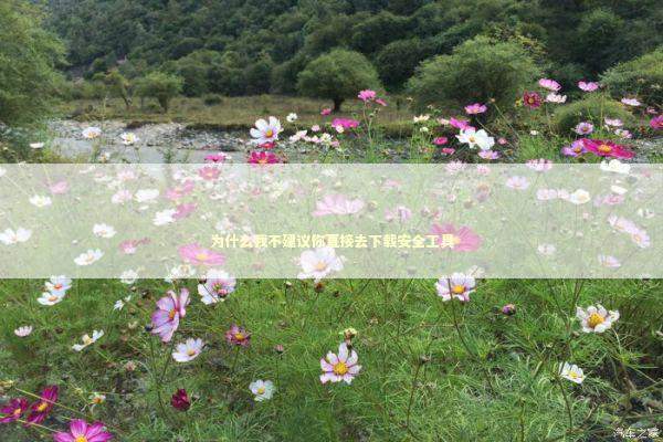 为什么我不建议你直接去下载安全工具 IT技术