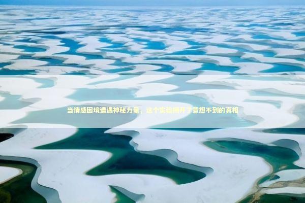 当情感困境遭遇神秘力量，这个实验揭开了意想不到的真相 情感心理