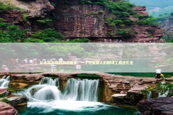 从手足无措到游刃有余：一个外贸新人的翻译工具进化史 企业服务