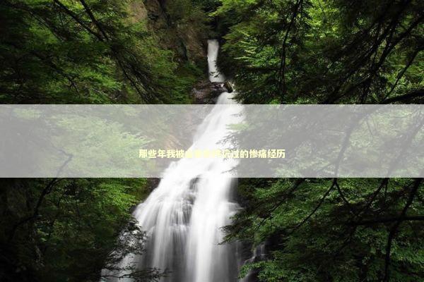那些年我被山寨软件坑过的惨痛经历 IT技术