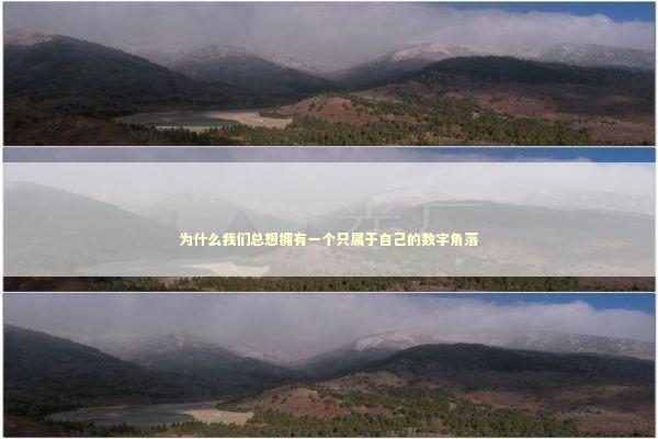 为什么我们总想拥有一个只属于自己的数字角落 情感心理